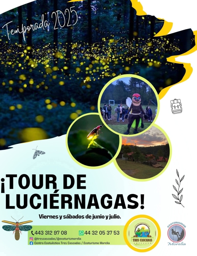 Disfruta de la Temporada del Avistamiento de las Luciérnagas en Michoacán  
