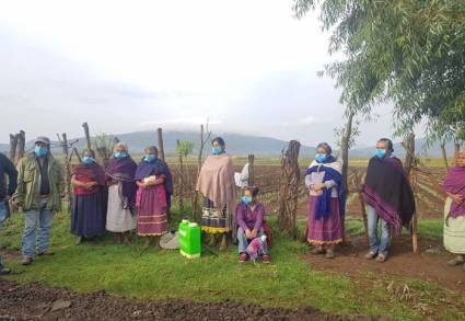 Logró Agricultura Sustentable cosecha de un 135% más en cultivos en Michoacán 