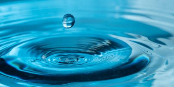Agua, eslabón central del Desarrollo Sustentable 