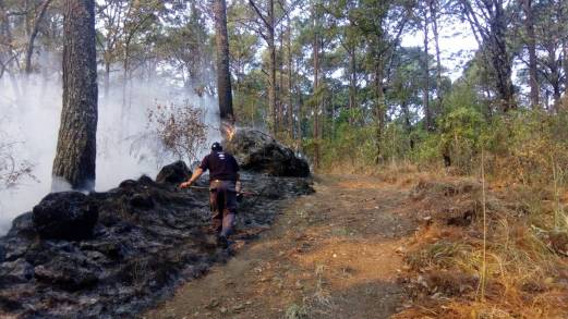 Atienden y liquidan incendio en Parque Nacional de Uruapan