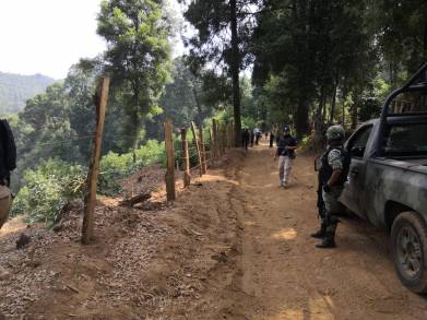 Mesa de Seguridad Ambiental desmantela huerta de aguacate en Tacámbaro
