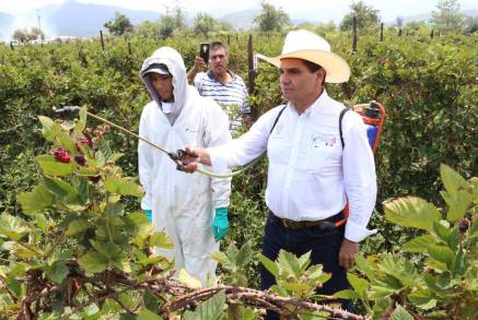 Camina Michoacán hacia una agricultura sustentable: Silvano Aureoles