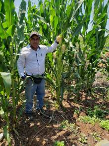 Agricultura Sustentable, la gran revolución del campo michoacano