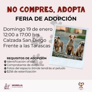 Alista Gobierno Municipal primera feria de Adopción Animal  
