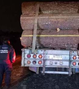 Asegura SSP tres camiones cargados de madera ilegal