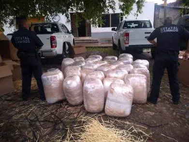 En el mes de agosto, aseguró SSP más de 430 kilogramos de diferentes drogas