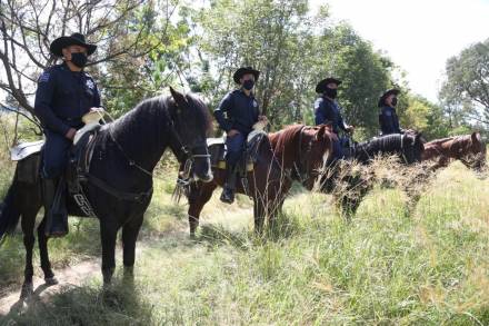 Patrullar a caballo, una forma diferente de combatir el Delito: .Unidad Montada de la Secretaría de Seguridad Pública