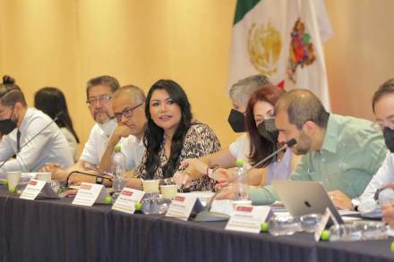 Michoacán, ejemplo nacional de atención en Desplazamiento Forzado, contexto del  Foro Regional sobre Movilidad Humana 