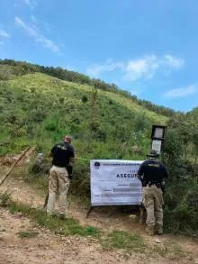 En cateo, asegura Fiscalía General predio relacionado en delitos Contra el Ambiente 