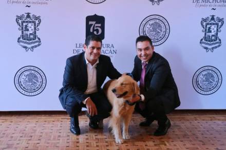 El Dip. Ernesto Núñez plantea crear Programa Estatal de Reinserción Canina 