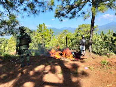 En Michoacán, Guardia Nacional y ejército mexicano desmantelan campamentos clandestinos en zona montañosa