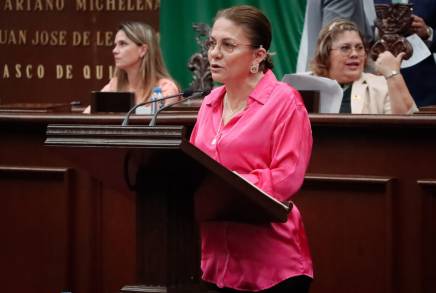 Que la violencia familiar se castigue:Dip. Luz María García 
