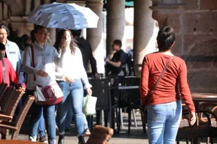 En 2022, Seimujer atendió más de 4 mil mujeres víctimas de violencia de género 