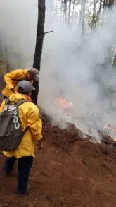 Controlado, 60% del incendio forestal en Cotija: Cofom 