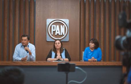 Acción Nacional tiene fortaleza en el Congreso del Estado: Dip. Lariza Pérez  