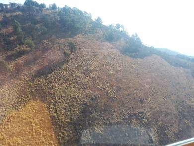Controlado Incendio forestal en cerro del Quinceo, reporta Cofom 