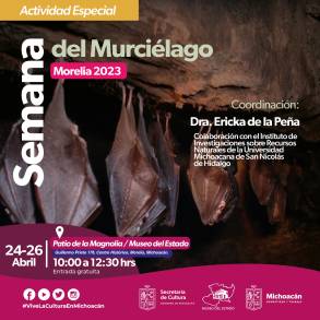 Celebrará Secum Semana del Murciélago en el Museo del Estado 