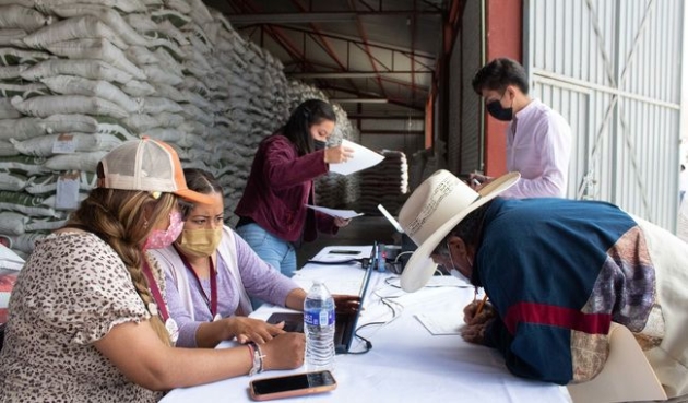 Registra programa Fertilizantes para el Bienestar avance de 81.73 por ciento en Michoacán 