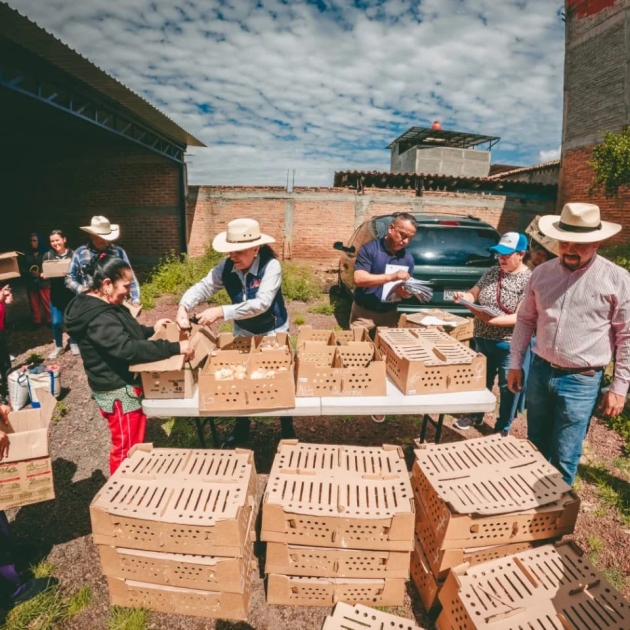 La Dip. Julieta Gallardo entrega paquetes de aves de traspatio a familias de Huaniqueo 