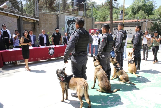 Dona Sistema Penitenciario elementos caninos a Comisión de Búsqueda de Personas 