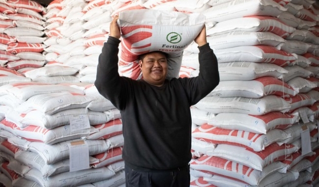 Avanza Agricultura en entrega de fertilizante gratuito a 91.3 por ciento de beneficiarios en Michoacán 