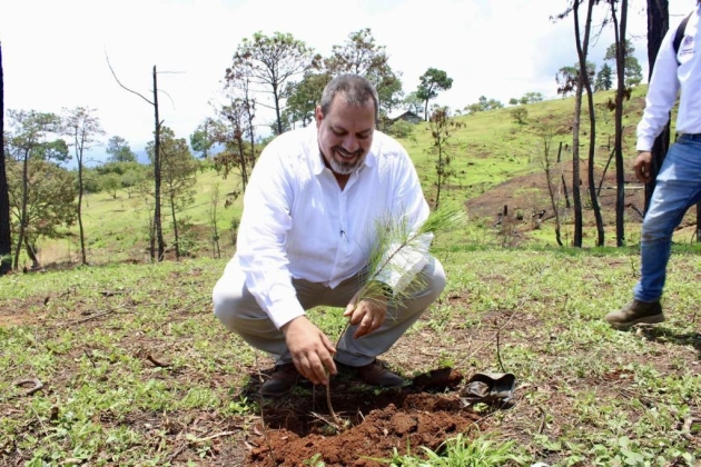 El Gobierno de Michoacán Blindará 106 mil hectáreas de Franja Aguacatera