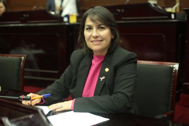 Mi compromiso, acompañar leyes que protejan la integridad y garanticen la justicia en Michoacán: Dip. Lariza Pérez