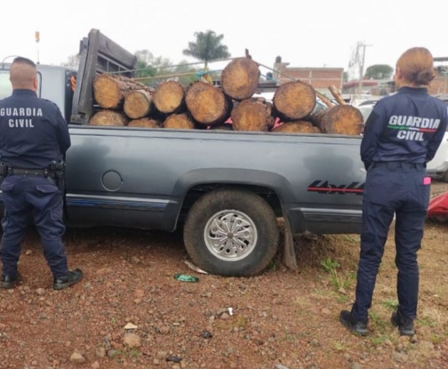 SSP decomisa cerca de 18 piezas de madera presuntamente ilícita, en Uruapan