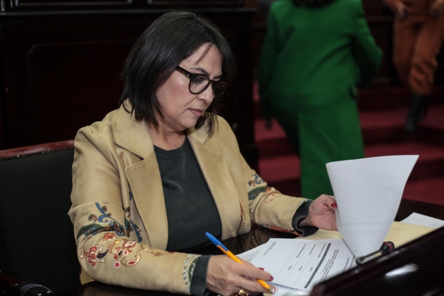 Michoacán, nuestra prioridad en aprobación de presupuesto para 2024: Dip. Lariza Pérez  