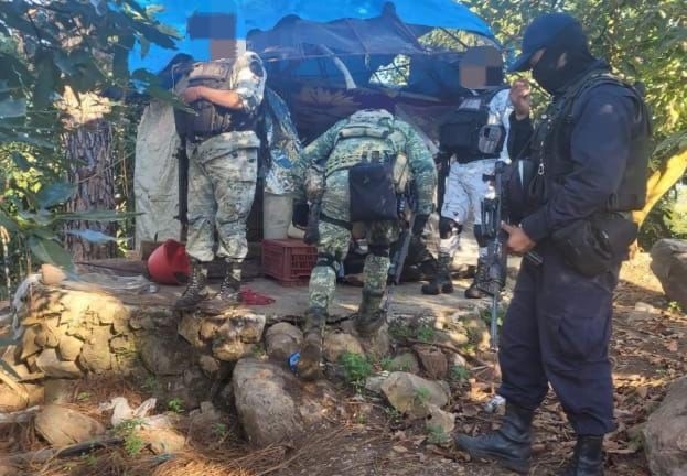 Localizan y destruyen 3 narcocampamentos en Apatzingán 