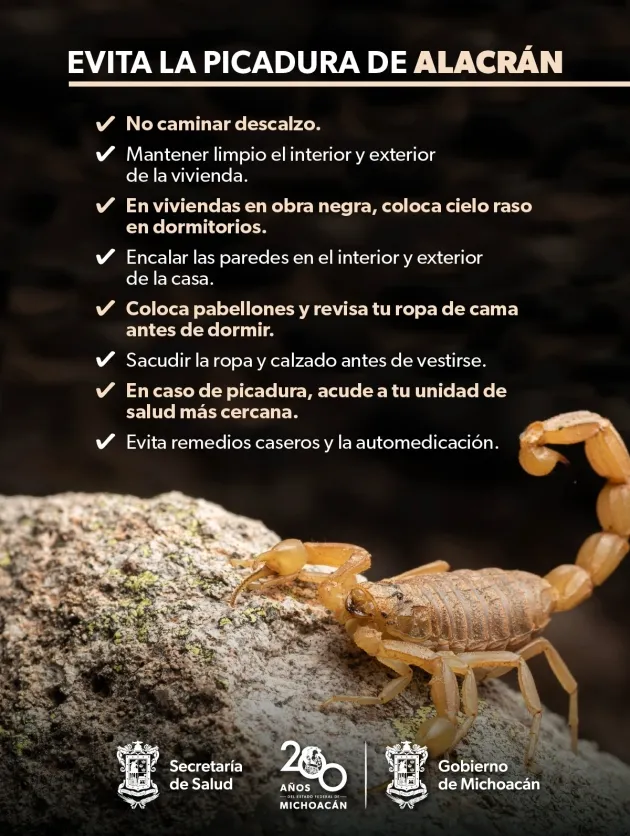Prevé las picaduras de Alacrán con estas recomendaciones de la SSM 
