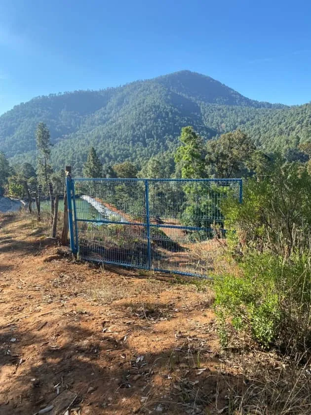 Tras cateo, asegura FGE predio relacionado en delitos contra el ambiente en el municipio de Madero 