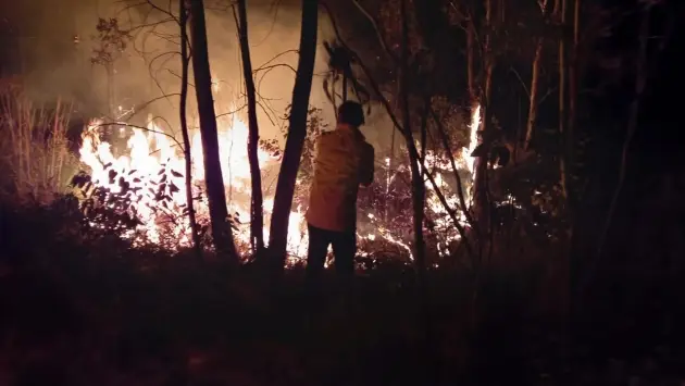 Brigadas ya se encuentran en combate de incendio en Tuxpan: Cofom 