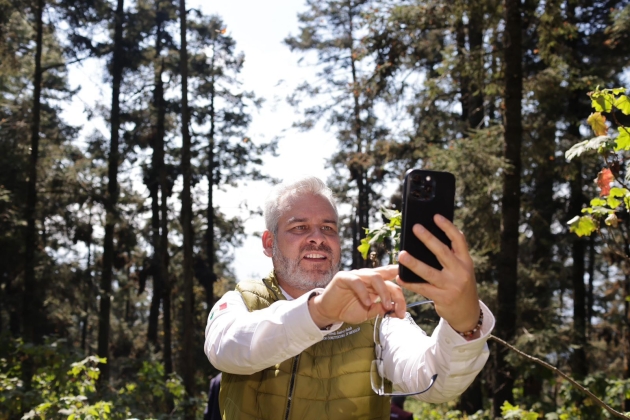 Michoacán celebra incremento del 64% en la Migración de la Mariposa Monarca