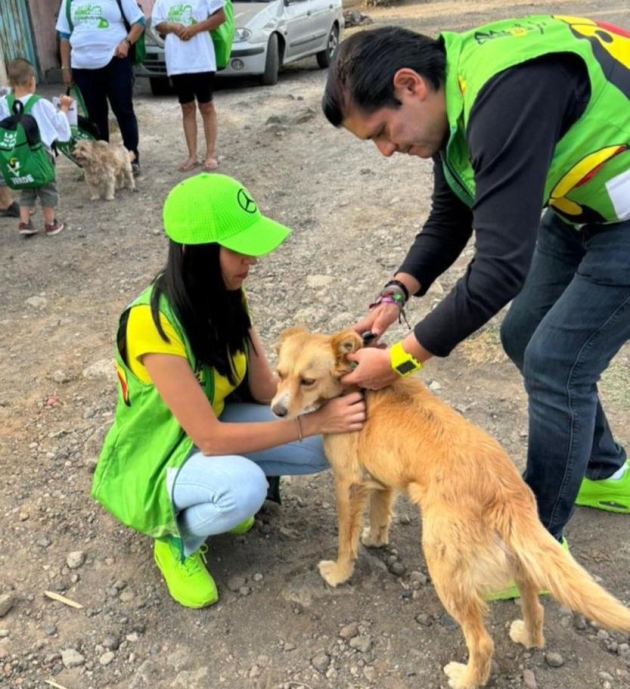 PVEM Michoacán, a través de su Secretaría de Medio Ambiente, llama a reforzar el cuidado animal por temporada de calor