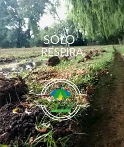 LA SEGUNDA TEMPORADA DEL SITIO DE APRECIACIÃ“N DE LA LUCIÃ‰RNAGA EN EL LLANITO TLALPUJAHUA 