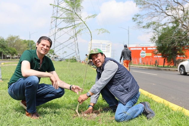Ayuntamiento de Morelia avanza con Campaña de Reforestación 2023