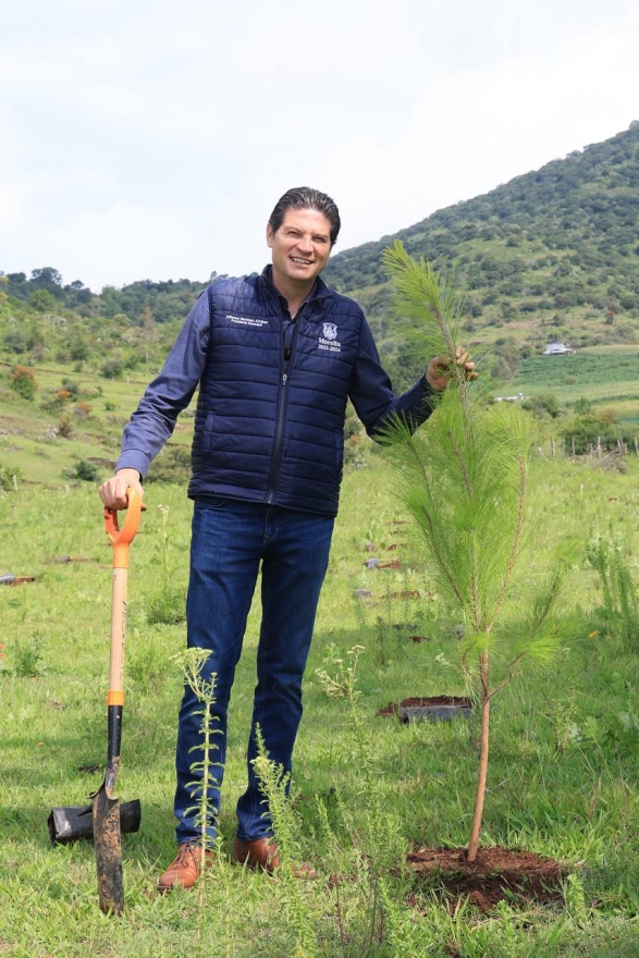 Morelia se acerca a la meta de plantar más de un millón de árboles: Alfonso Martínez  