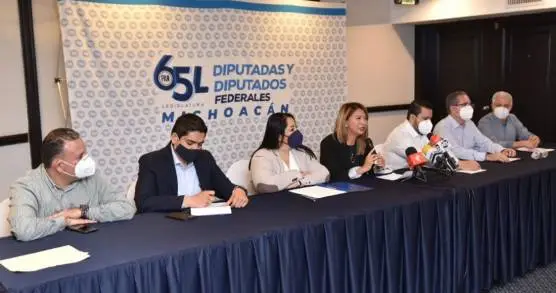 LAS FAMILIAS DE TIERRA CALIENTE REQUIEREN ACCIONES, NO DISCURSOS: DIPUTADOS FEDERALES PAN 