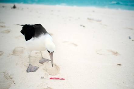 Ocho países de América Latina combatirán juntos la basura marina y la contaminación por plásticos afirma la ONU 