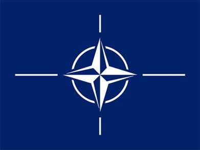 O.T.A.N. Organización del Tratado del Atlántico Norte, alianza militar intergubernamental a la cual Ucrania pretende su adhesión  