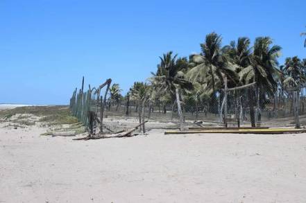 Blinda Michoacán Protección de Playas-Santuarios de la Tortuga Marina