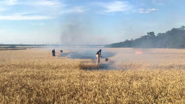 Ataques rusos a la infraestructura agricola ucraniana un golpe a la seguridad alimentaria: ONU