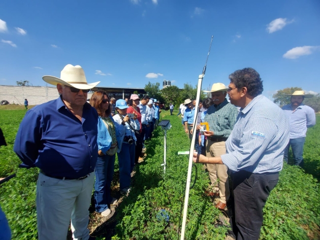 Sader y FAO revisan en Michoacán proyecto para uso eficiente del agua y fertilizante 