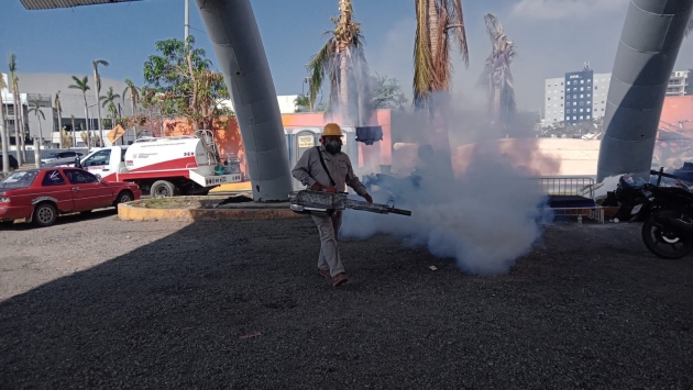 Brigadistas michoacanos protegieron contra el dengue a 600 mil habitantes de Acapulco 