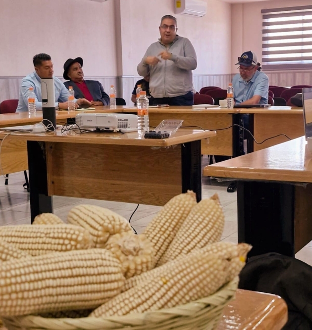 Promoverán en Michoacán maíces resistentes a sequía y altas temperaturas 