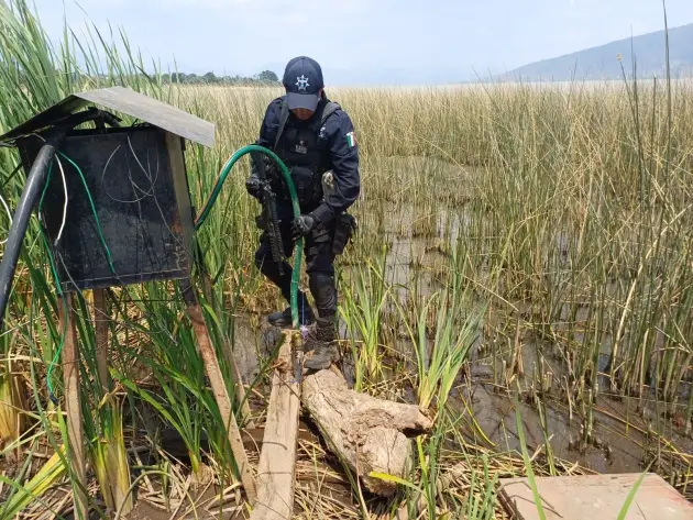 Guardia Civil asegura toma clandestina de agua en Oponguio 