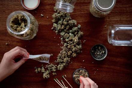 Las trampas de la legalización del cannabis: ONU  