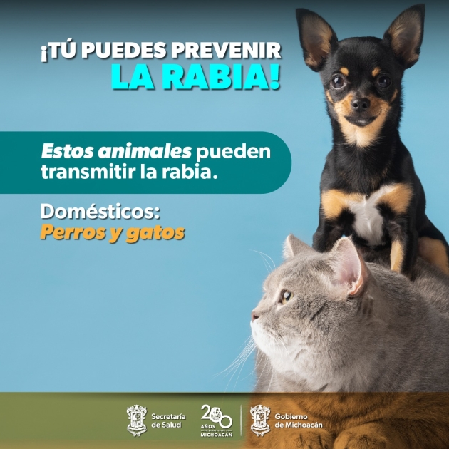SSM vacuna a tus mascotas para protegerlas contra la rabia 