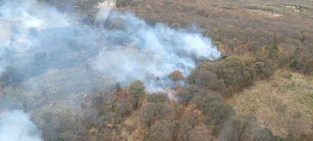 Por tierra y aire se combate incendio forestal en el cerro del Águila 